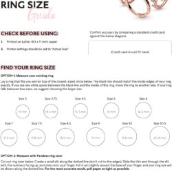 Pandora Two Sparkling Hearts Ring - The Ultimate Symbol of Love - Sterling Silver Ring for Women - Sterling Silver with Clear Cubic Zirconia - With Gift Box - Image 8