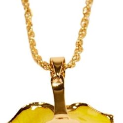 Eternal Necklace 24k Gold Dipped Forever Rose Necklace - Image 2