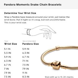 PANDORA Moments Barrel Clasp Snake Chain Bracelet - Bracelet for Women - Gift for Her - Image 8