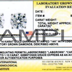 1/4 to 2 Carat Lab Grown Diamond Round Stud Earrings in 14k Gold (E-F, SI1-SI2, cttw), 4-Prong Basket Screw Back by Diamond Wish - Image 5