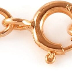 Galaxy Gold GG 5 ct s14k Solid White Yellow Rose Gold Born A Lioness Ruby Pendant Necklace 4295 - Image 4